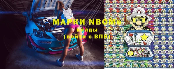 PSILOCYBIN Волосово