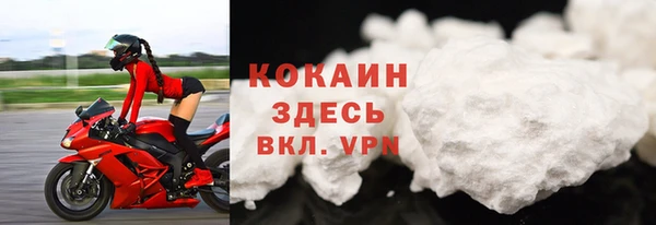 Альфа ПВП Верея