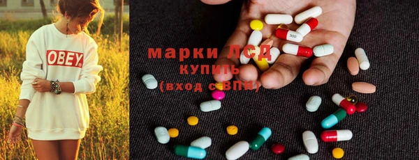 хмурый Дегтярск