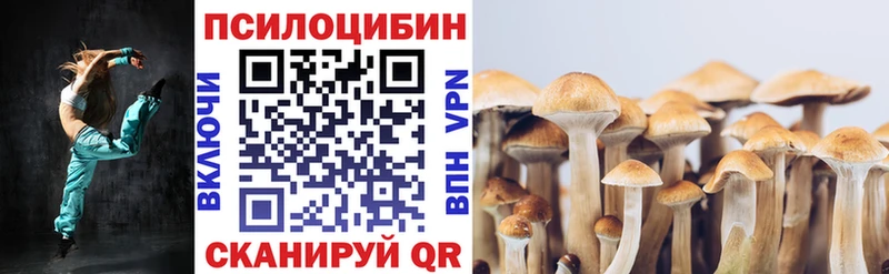 Галлюциногенные грибы мицелий  Заволжье 